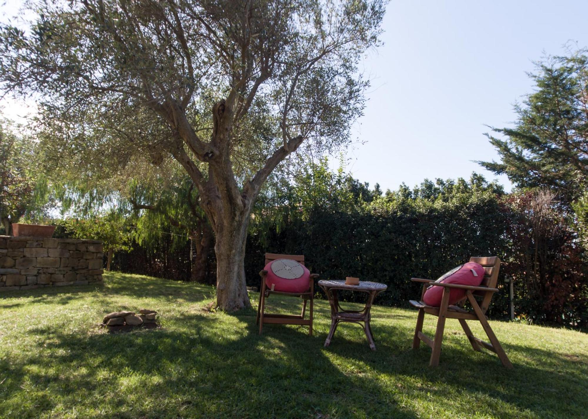 Villa Tresino Appartamenti Castellabate Extérieur photo